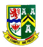 Craft-MP-Badge