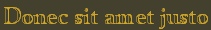 Donec sit amet justo